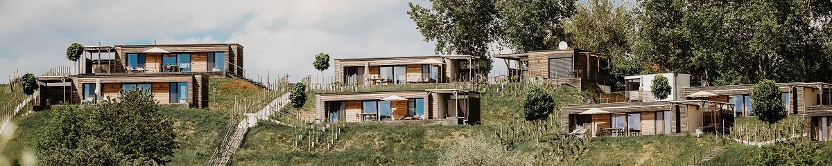 Chalets im Weingarten in der Steiermark