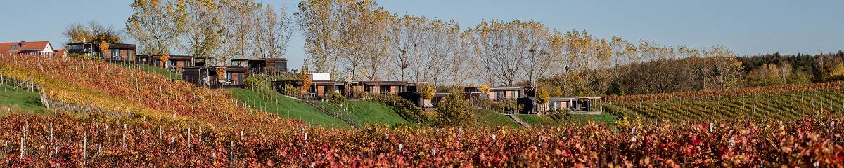 Premium Ferienhäuser nahe Loipersdorf in der Steiermark im Herbst