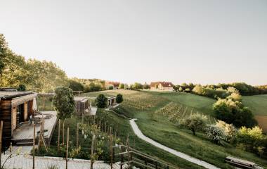 Chalets und Weingarten in Unterlamm bei Loipersdorf in der Steiermark