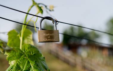 Schloss an Weinrebe im Weingarten-Resort Unterlamm Loipersdorf