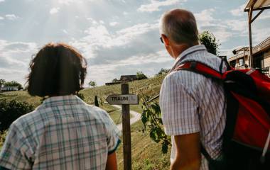 Wanderer blicken über die Weinreben in der Steiermark