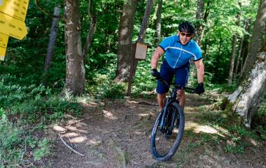Mountainbiker fährt mit seinem MTB aus dem Wald heraus