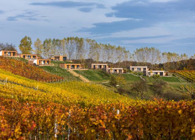 Die WeinHÄUSER des Weingarten-Resort Unterlamm Loipersdorf im Herbst