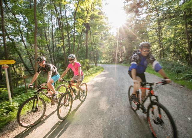 Radweg Schlösselberg in Österreich
