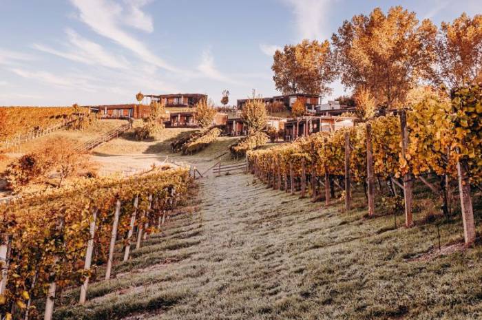 urlaub-weinbergen-steiermark-weingarten-resort-unterlamm-loipersdorf