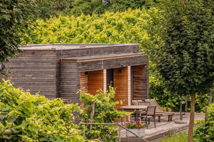 chalet-alleinlage-steiermark-weingarten-resort