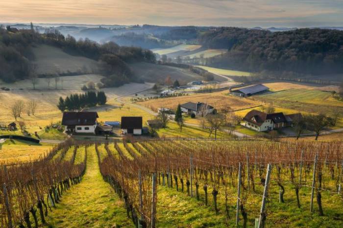 nachhaltiges-winterwandern-thermenland-vulkanland-steiermark-weingarten-resort