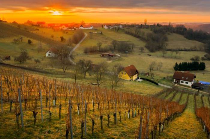 winterwandern-wellness-thermen-vulkanland-steiermark-weingarten-resort