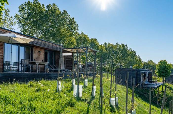 wanderhotel-vulkanland-steiermark-weingarten-resort