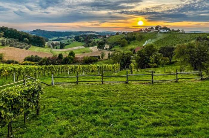 hotelgutschein-wanderer-geschenk-naturliebhaber-weingarten-resort