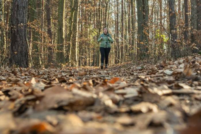 wanderhotel-suedoststeiermark-weingarten-resort