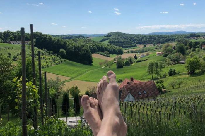 ferienhaus-mit-ausblick-steiermark-weingarten-resort