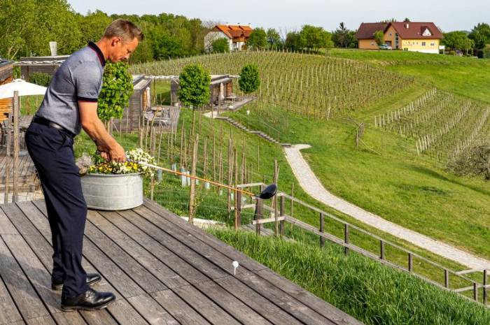 wein-golf-loipersdorf-weingarten-resort