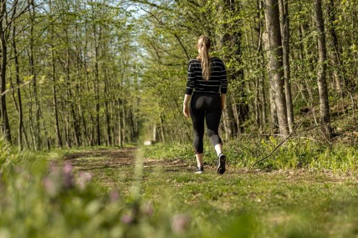 wandern-einsteiger-tipps-touren-weingarten-resort