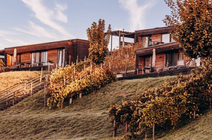 chalet-steiermark-buchen-weingarten-resort