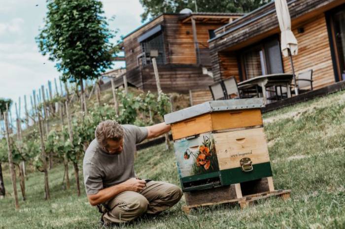 nachhaltig-urlauben-steiermark-weingarten-resort