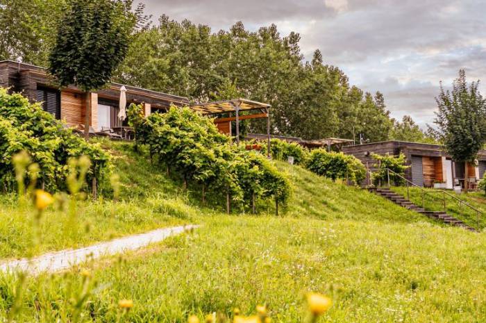 urlaub-ohne-stress-steiermark-weingarten-resort