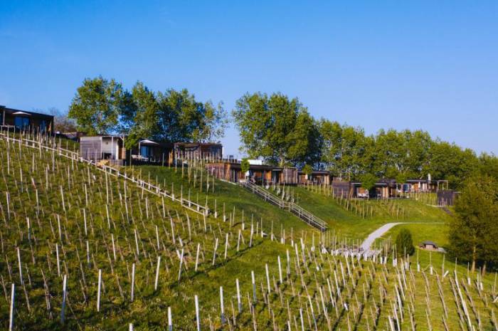 fruehlingserwachen-weinberg-weingarten-resort-unterlamm-loipersdorf