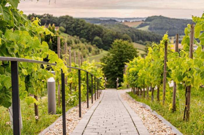 reisen-anstrengend-wege-erholung-weingarten-resort