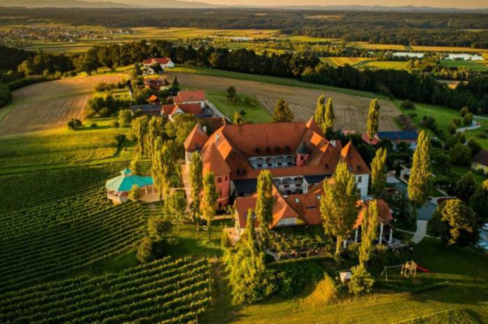 weinschloss-thaller-luftbild-hochzeitslocation