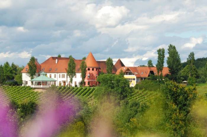 weinschloss-thaller-fruehling-fruehlingserwachen-2026