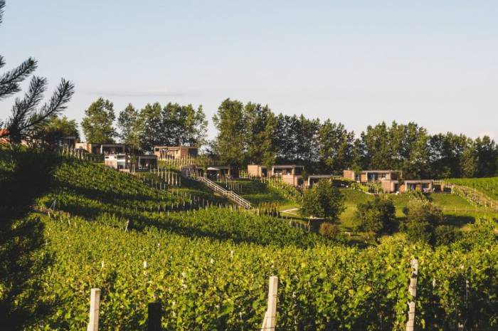 weingarten-resort-unterlamm-loipersdorf-besonderes-hotel-fuer-paare-oesterreich-sommer