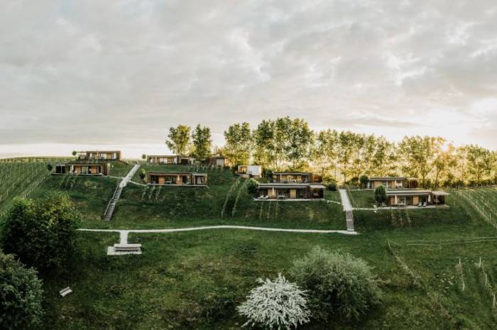 weingarten-resort-unterlamm-nahe-riegersburg-sonnenaufgang-weingaerten