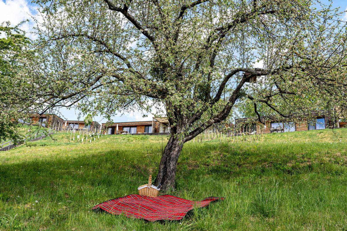 Picknick am Weingarten-Resort Unterlamm Loipersdorf