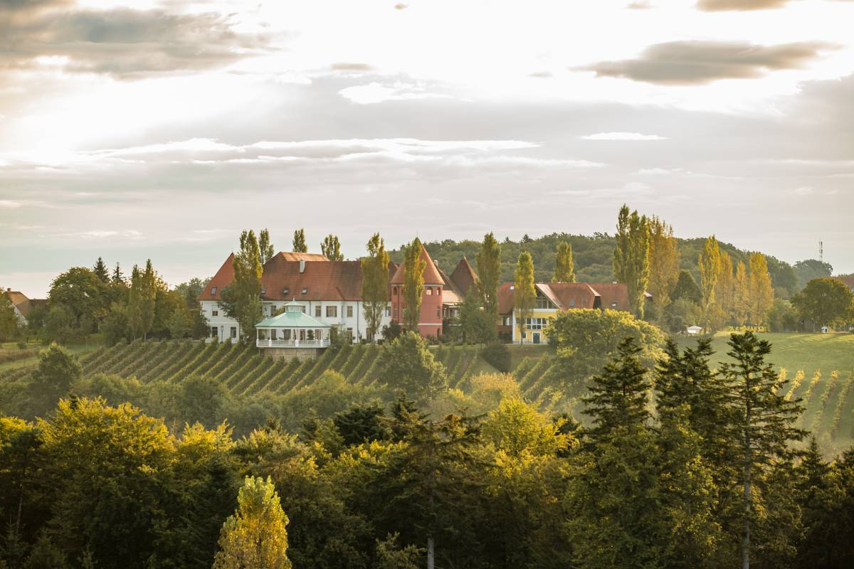 Weinschloss Koarl Thaller in Großwilfersdorf