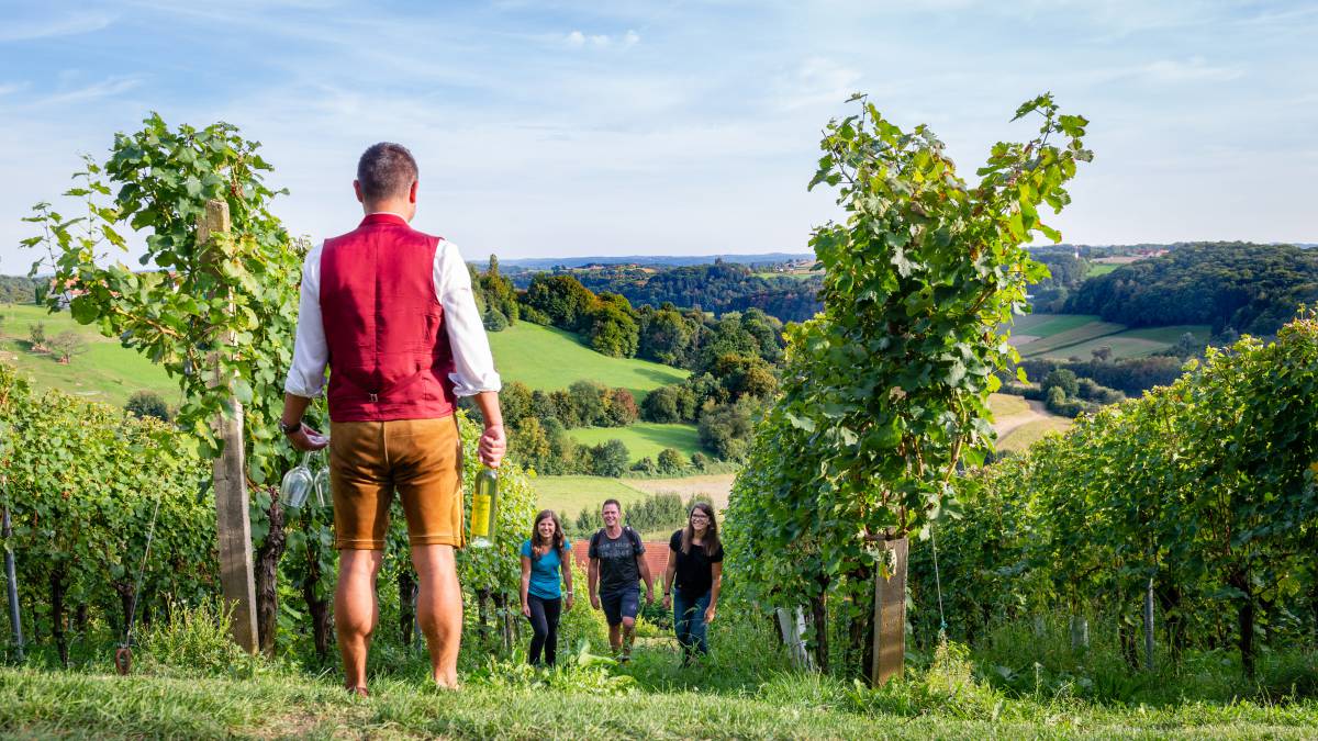 Wanderer im Wanderurlaub in der Steiermark inmitten von Weingärten