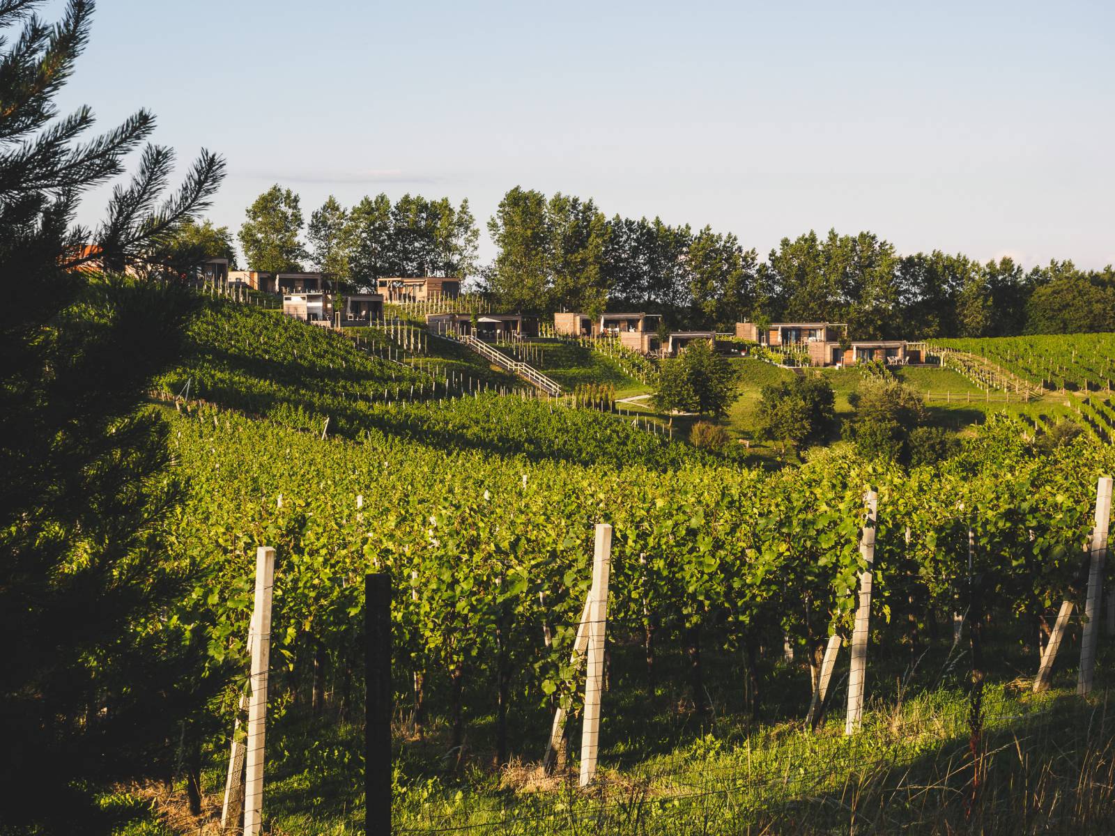 Ferienhaus in ruhiger Lage in der Steiermark Symbolfoto