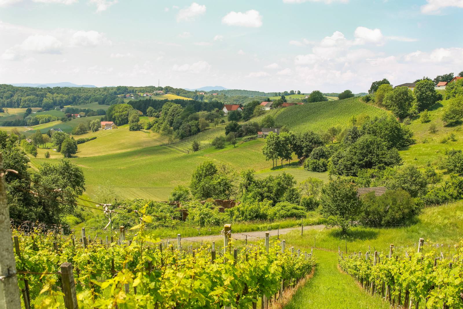 Ferienhaus in der Natur Symbolfoto