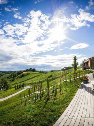 Urlaub mit viel Privatsphäre in Österreich Symbolfoto