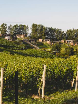 Ferienhaus in ruhiger Lage in der Steiermark Symbolfoto