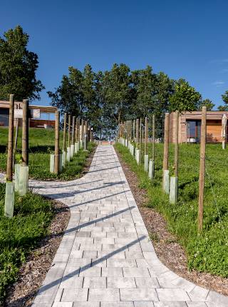 Appartement in der Nähe der Therme Loipersdorf Symbolfoto