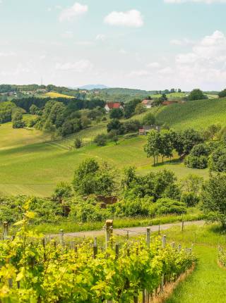 Ferienhaus in der Natur Symbolfoto