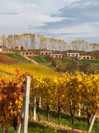 Steiermark Urlaub im September Symbolfoto