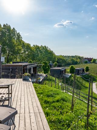 Weingartenhotel in der Steiermark Symbolfoto