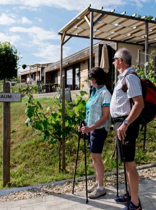 Wandern und Wellness in der Steiermark Symbolfoto