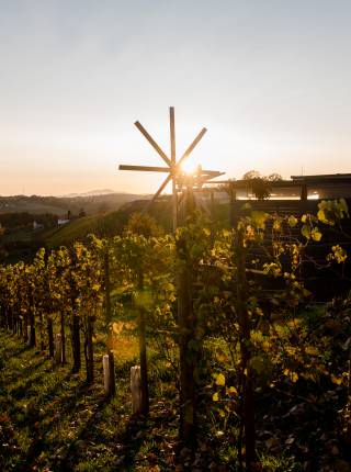 Steiermark Urlaub im Herbst Symbolfoto