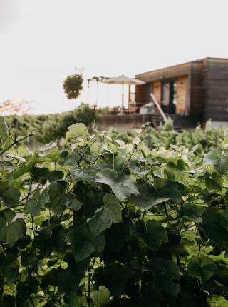 Chalet in Alleinlage in Österreich Symbolfoto