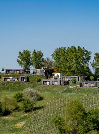 Ferienhäuser im Weingarten Symbolfoto