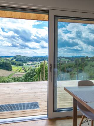 Ferienhaus mit Panoramablick in Österreich Symbolfoto
