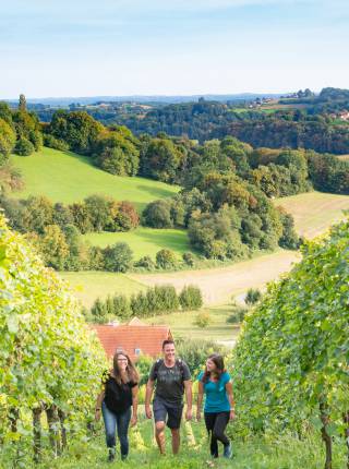 Loipersdorf Urlaub im Sommer Symbolfoto