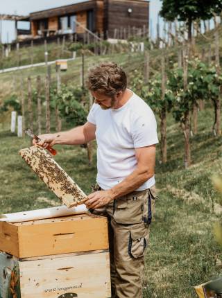 Grüner Urlaub in der Steiermark Symbolfoto