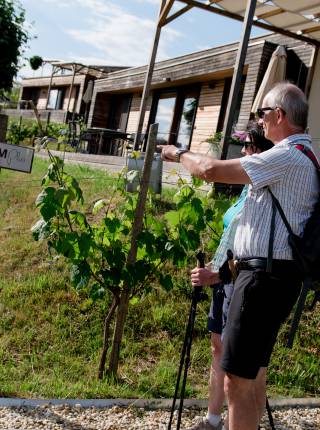 Wanderurlaub in einem Chalet Symbolfoto