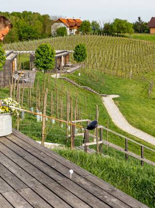 Golf und Wellness: Die ideale Auszeit für Erwachsene Symbolfoto