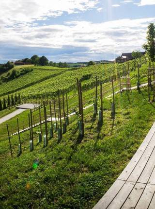 Geburtstagsurlaub in der Steiermark: Erholung und Genuss im Thermen- und Vulkanland Symbolfoto