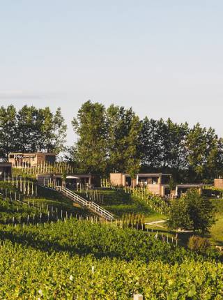 Romantikhotel für Paare in der Steiermark: Perfekte Auszeit im Weingarten Symbolfoto