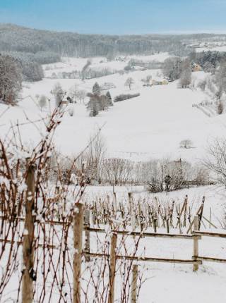 Kurzurlaub im Advent in Österreich: Besinnliche Auszeit im Weingarten-Resort Symbolfoto